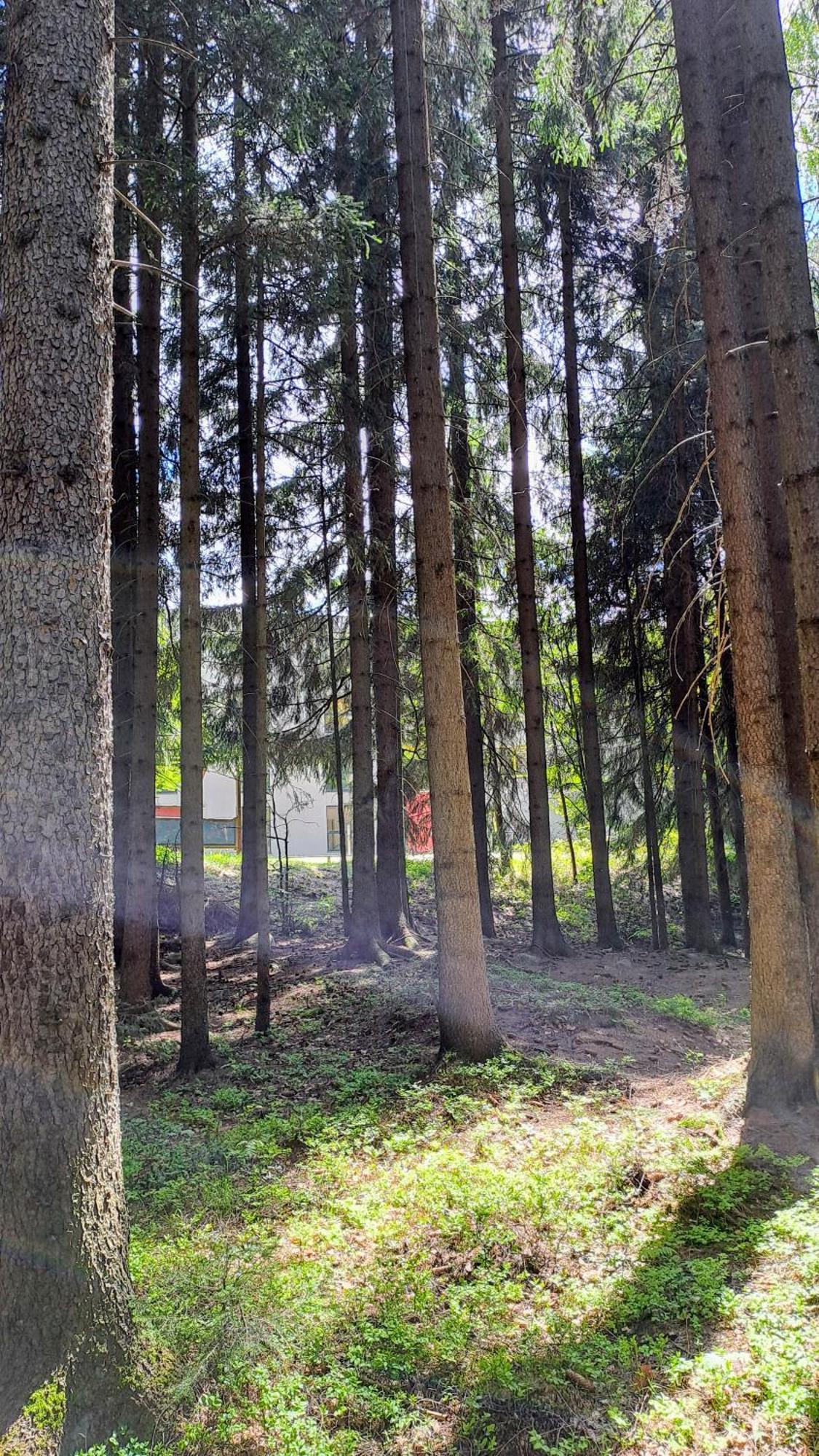 Plne Vybaveny Apartman Pod Mumlavskym Vodopadem, Zahrada S Ohnistem, Idealni Vychozi Bod Pro Turistiku, U Cesty Na Hrebeny, Kousek Do Centra, Absolutni Klid, Vybaveny I Pro Deti, Wellness A Fitko Naproti ハルラホフ エクステリア 写真